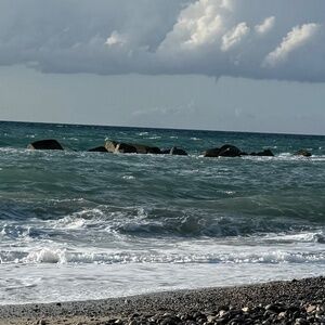 Meet your Posher, Dharma